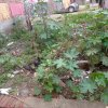 50 Gaz residential plot for sale in chander vihar nilothi new delhi