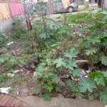 50 Gaz residential plot for sale in chander vihar nilothi new delhi