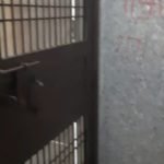 4 BHK Builder Floor For Sale in Sri Nagar Rani Bagh Delhi With Lift Car Prking