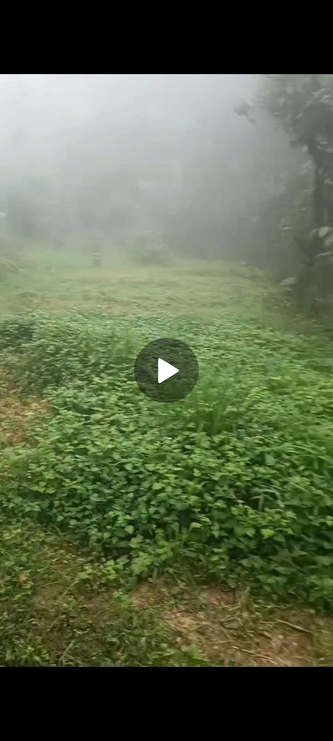 Vacant land Plot For Sale In Kurseong MDG Darjiling West Bengal