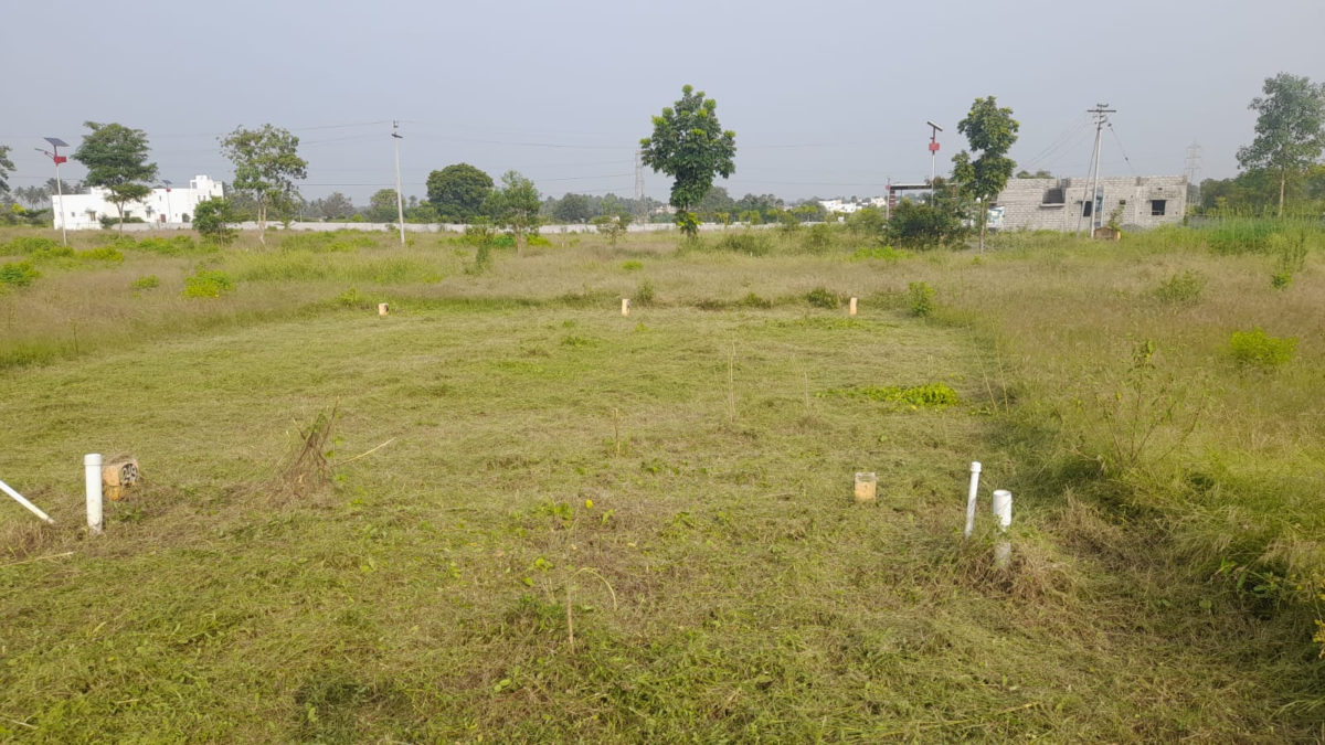 Plot For Sale In Telungupalayam Coimbatore