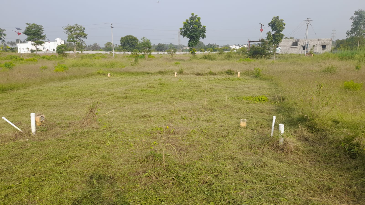 Plot For Sale In Telungupalayam Coimbatore