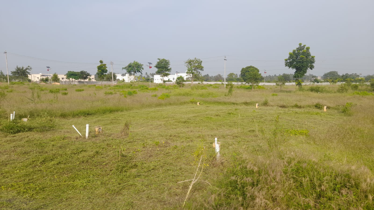 Plot For Sale In Telungupalayam Coimbatore